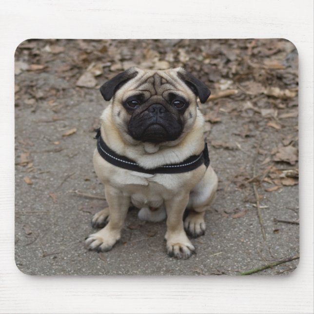 Sehr schwerer Mops Mousepad (Vorne)