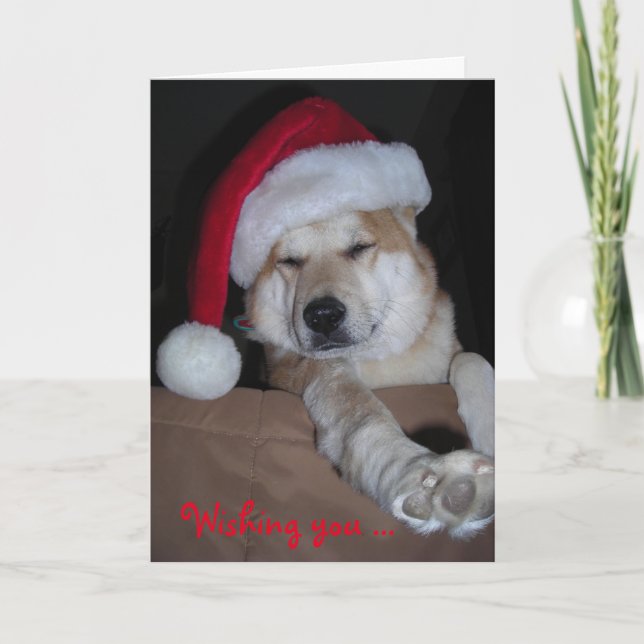 Sehr Shiba-Inu Weihnachtskarte Feiertagskarte (Vorderseite)