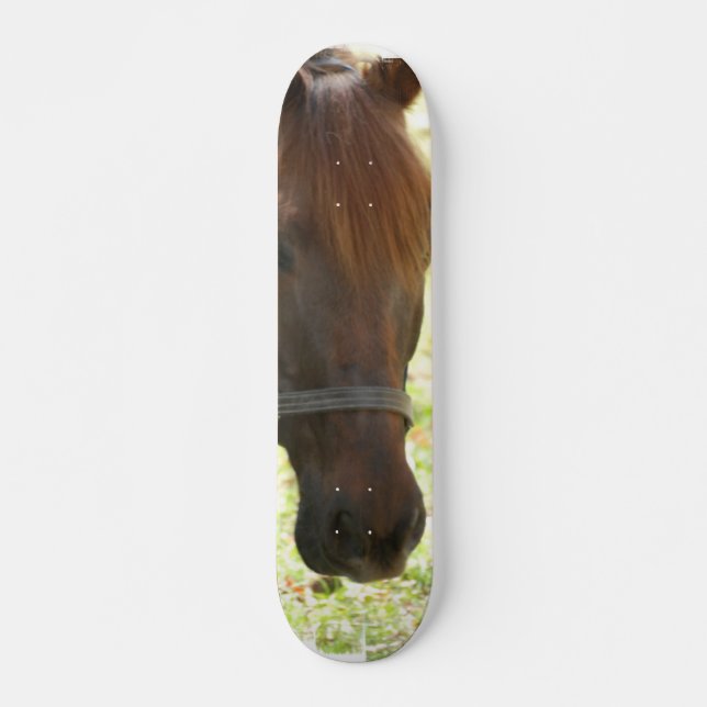 Sehr süße Kastanien-Pferd Skateboard (Vorne)