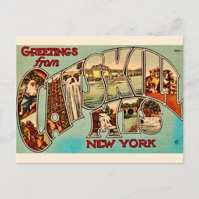 Sehr Vintag Catskill Mountains Postkarte (Vorderseite)
