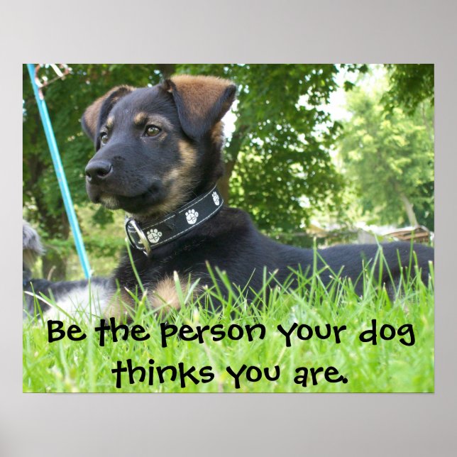 Sei die Person, die dein Hund für dich hält, Poste Poster (Vorne)