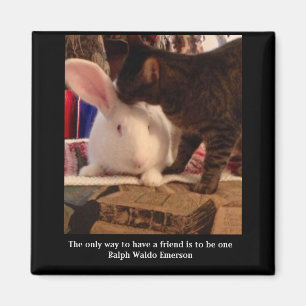 Sei ein Freund Magnet