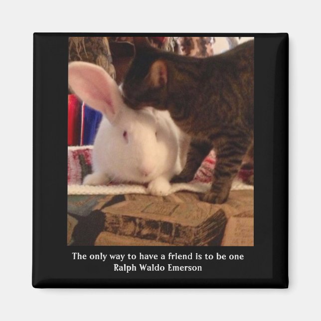 Sei ein Freund Magnet (Vorne)