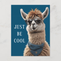 Sei einfach Cool Llama Funky Alpaca Sonnenbrille