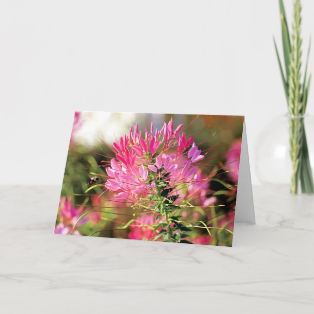 Sei glücklich dankeskarte (Vorderseite)