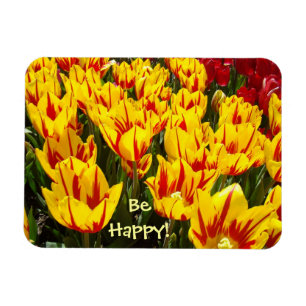 Sei glücklich! Magnete Gelbe Tulpen Blumen Natur