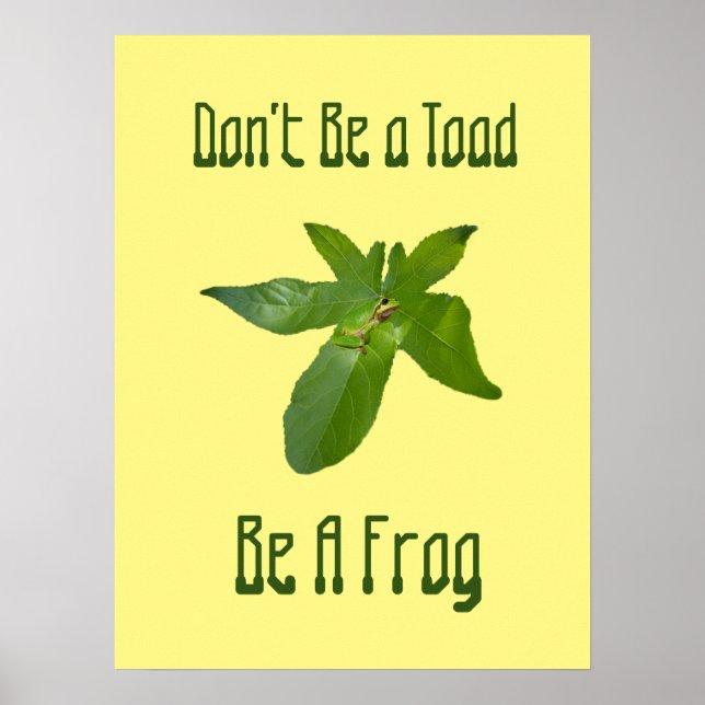 Sei kein Toad, sei ein Frosch, ein Poster! Poster (Vorne)