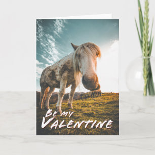 Sei mein Valentin mit Blick auf das Pferd Karte