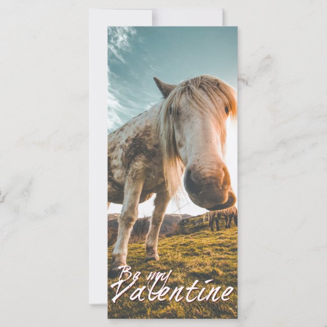Sei mein Valentin mit Blick Pferd V2.0 (Vorderseite)