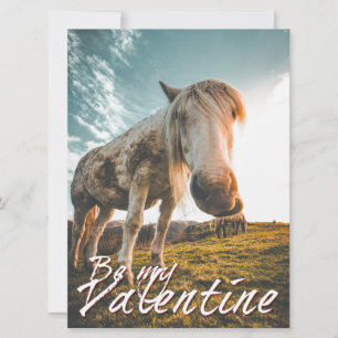 Sei mein Valentin mit Looking Horse V2.0