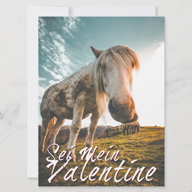 Sei mein Valentin mit schauenden Pferd V2.0 (Vorderseite)