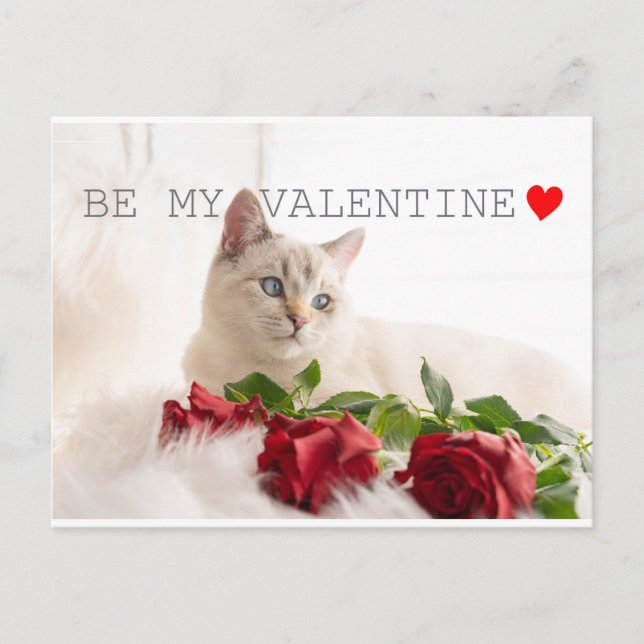 Sei mein Valentine Postkarte (Vorderseite)