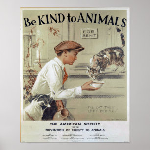 Sei nett zu Tieren und Katzen Poster