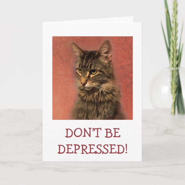 Sei nicht deprimiert, fünfzig eine üppige Katze zu Karte (Vorderseite)