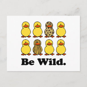 Sei wilde Enten Postkarte