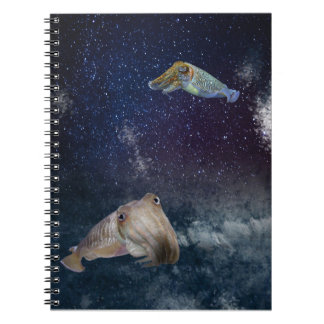 Seiches dans le carnet de l'espace