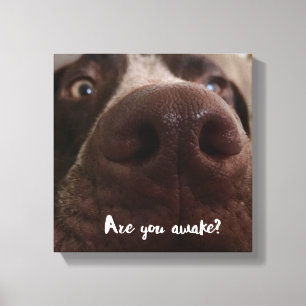 Seid ihr wach? leinwanddruck