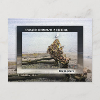Seid von einem Geist Seagull Postkarte