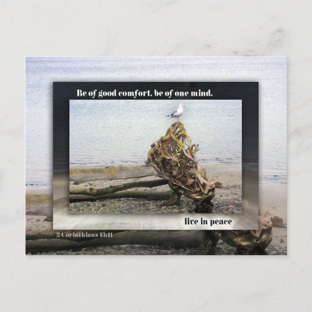 Seid von einem Geist Seagull Postkarte (Vorderseite)