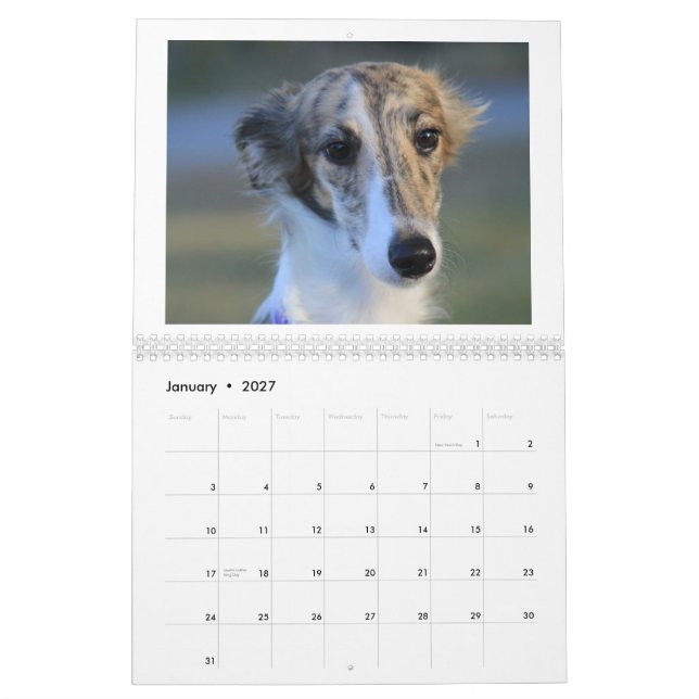 Seidene Windhound Welpen 2013 Kalender (Jan 2027)