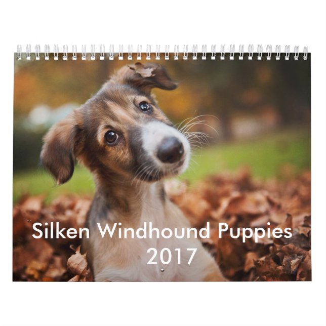 Seidener Welpen-Kalender 2017 Kalender (Titelbild)