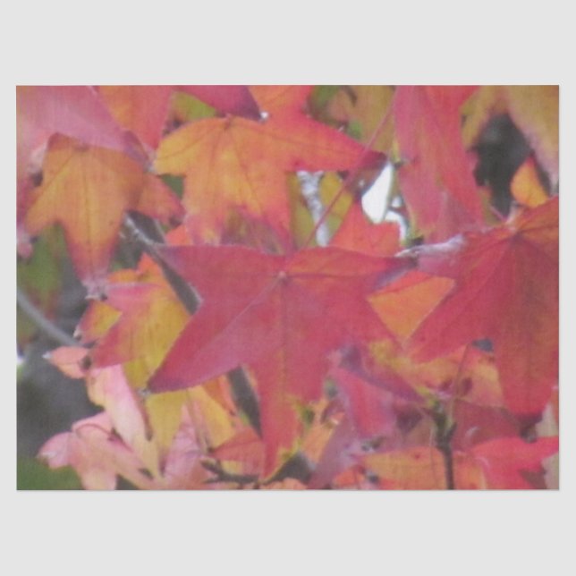 Seidenpapier - Herbstlaub (Vorderseite)