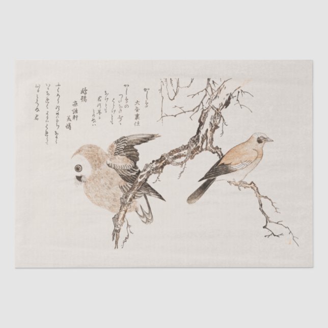 Seidenpapier: JAPANISCH: UTAMARO KITIGAWA 1806 Seidenpapier (Vorderseite)