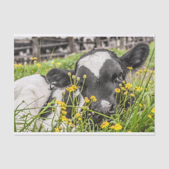 Seidenpapier mit Bild des Kalbs in den Blumen (Vorderseite)
