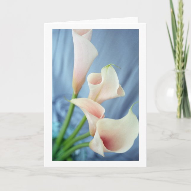 Seidenparade White Calla Lilie Grußkarten Karte (Vorderseite)