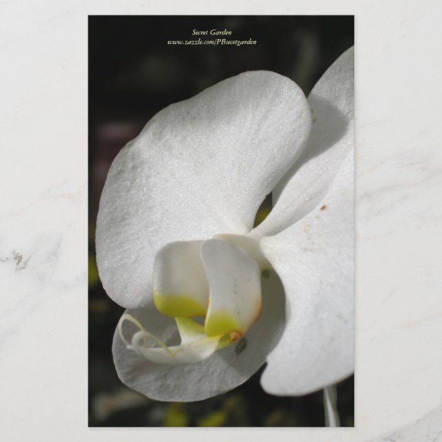 Seidenweiße Orchidee Personalisierte Staionerie Briefpapier (Vorderseite)