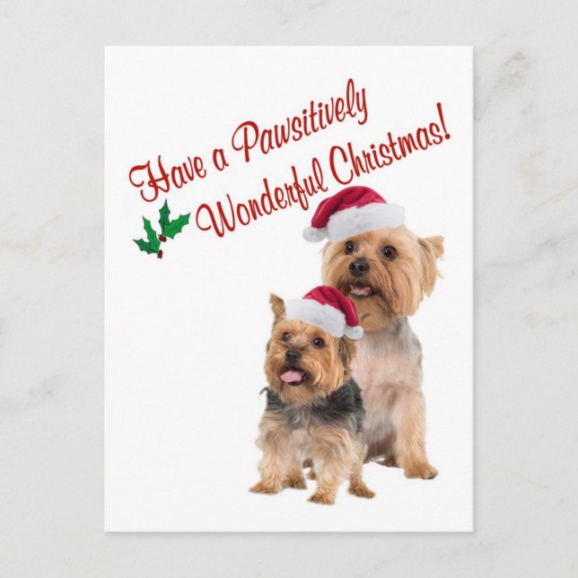 Seidiges Terrier-Weihnachten wünscht Postkarte (Vorderseite)