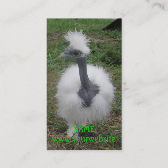 Seidiges Turken Mädchen Visitenkarte (Vorderseite)