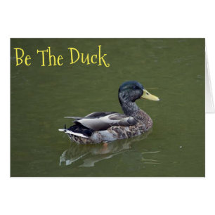Seien Sie die Ente
