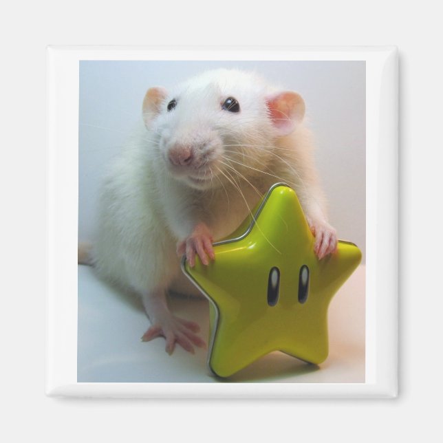 Seien Sie Ihr eigener Star Magnet (Vorne)