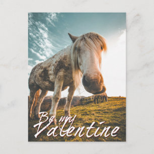 Seien Sie mein Valentine mit Blick auf Pferd V2.0 Feiertagspostkarte