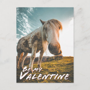 Seien Sie mein Valentine mit dem Blick auf Pferd Feiertagspostkarte