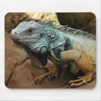 Seien Sie nicht blau Mousepad