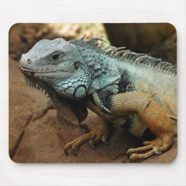 Seien Sie nicht blau Mousepad (Vorne)