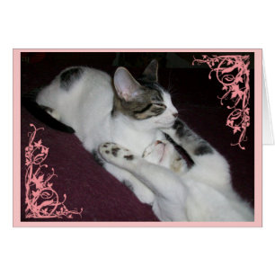 Seien Sie nicht ein Fremder