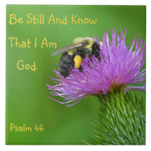 Seien Sie noch Hummel