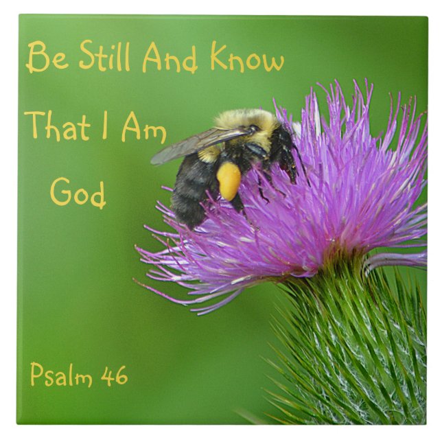 Seien Sie noch Hummel Fliese (Vorderseite)