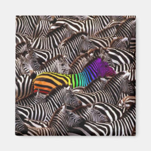 seien Sie sich Magnet