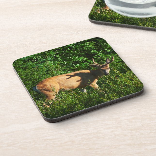 Seien Sie unterwegs Untersetzer (Linke Seite)