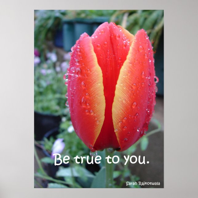 Seien Sie wahr mit Ihnen Red Tulip Nature Garden P Poster (Vorne)