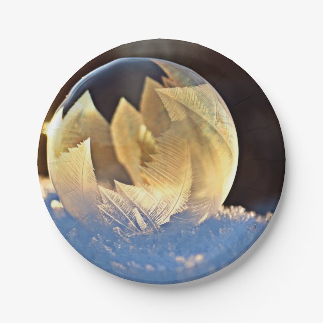 Seifenblase auf Schnee Pappteller (Vorderseite)