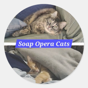 Seifenoper Katzenaufkleber Runder Aufkleber