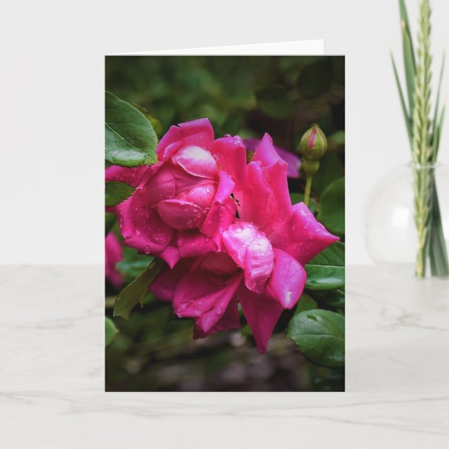 Seile und Rote Rosen, Karte (Vorderseite)