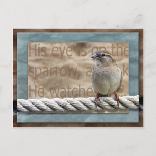 Sein Auge ist auf dem Sparrow Postkarte