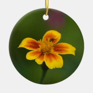 Sein oder nicht sein keramikornament