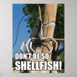 SEIN SIE NICHT SO SCHELLFISCH! MEMO POSTER